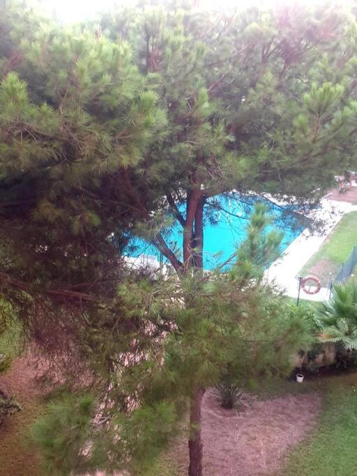 Apartament Precioso Estudio Con Piscina A 200m Del Mar Marbella