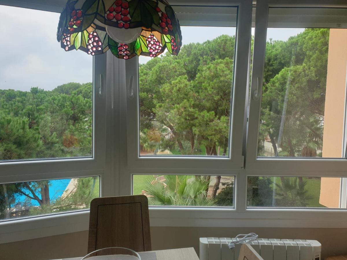 Apartament Precioso Estudio Con Piscina A 200m Del Mar